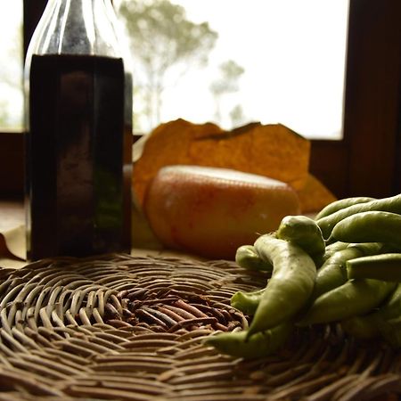 Agriturismo Riparossa Allerona Kültér fotó