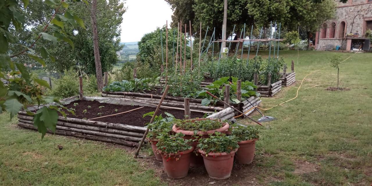 Agriturismo Riparossa Allerona Kültér fotó
