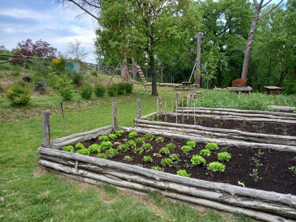 Agriturismo Riparossa Allerona Kültér fotó