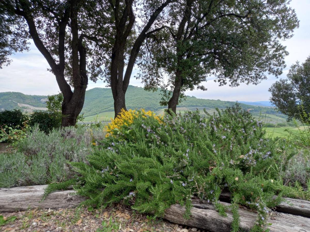 Agriturismo Riparossa Allerona Kültér fotó