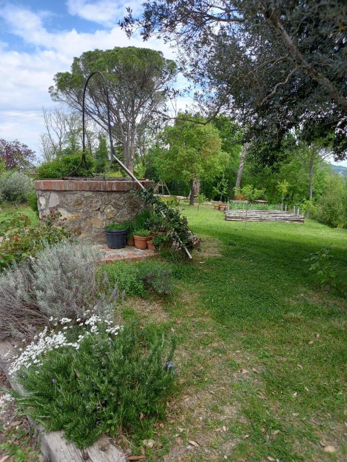 Agriturismo Riparossa Allerona Kültér fotó