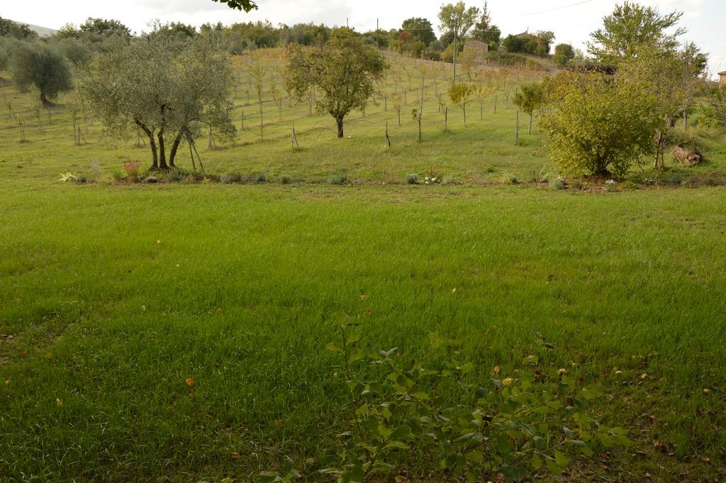 Agriturismo Riparossa Allerona Kültér fotó
