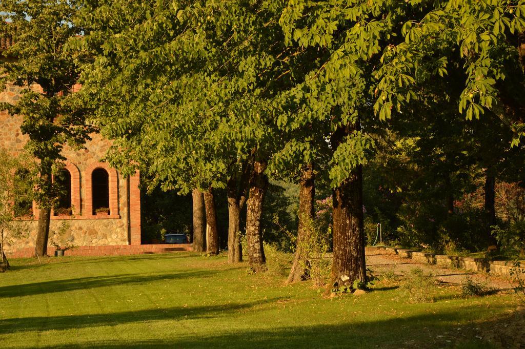 Agriturismo Riparossa Allerona Kültér fotó
