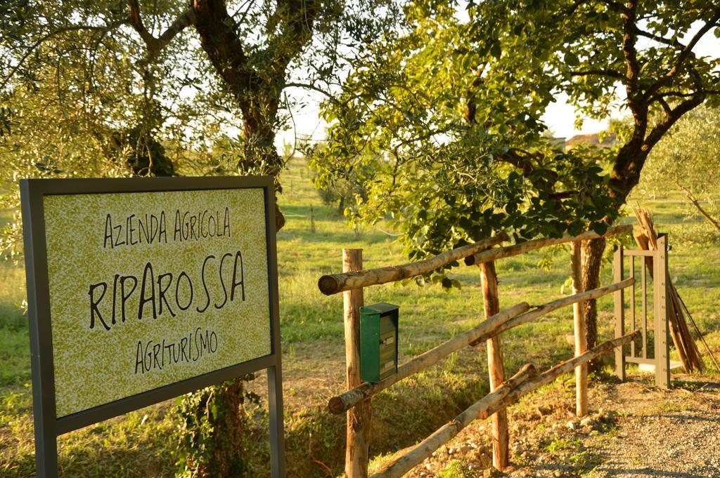 Agriturismo Riparossa Allerona Kültér fotó
