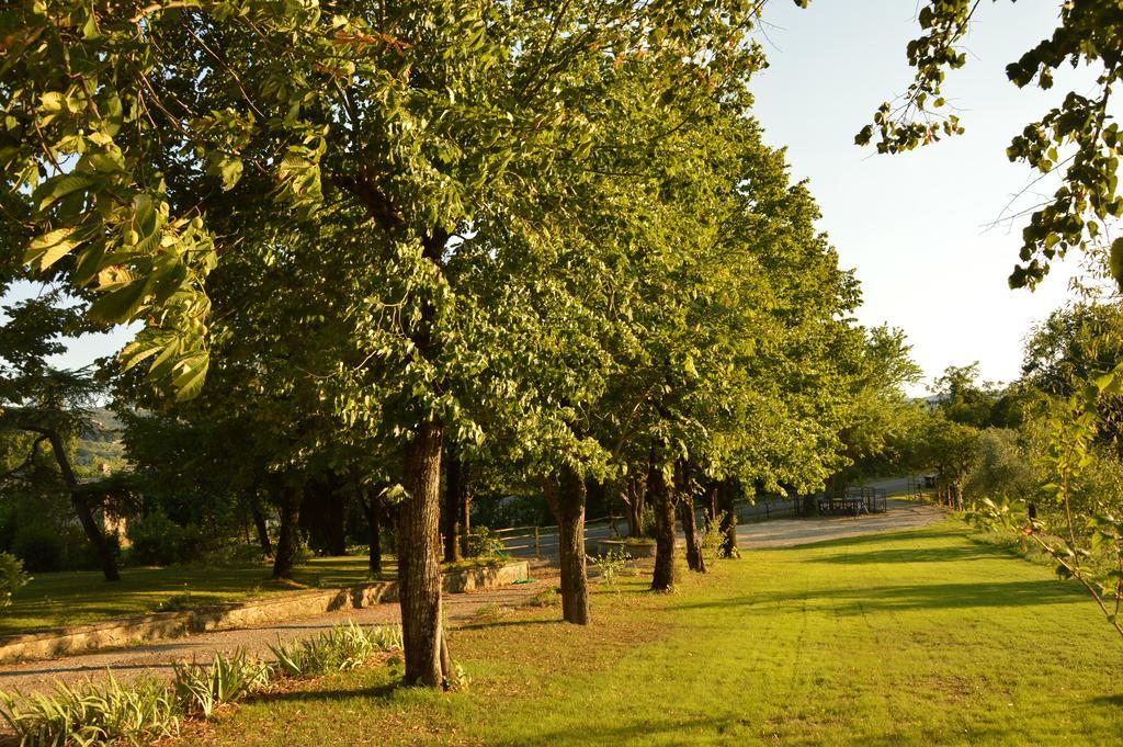 Agriturismo Riparossa Allerona Kültér fotó
