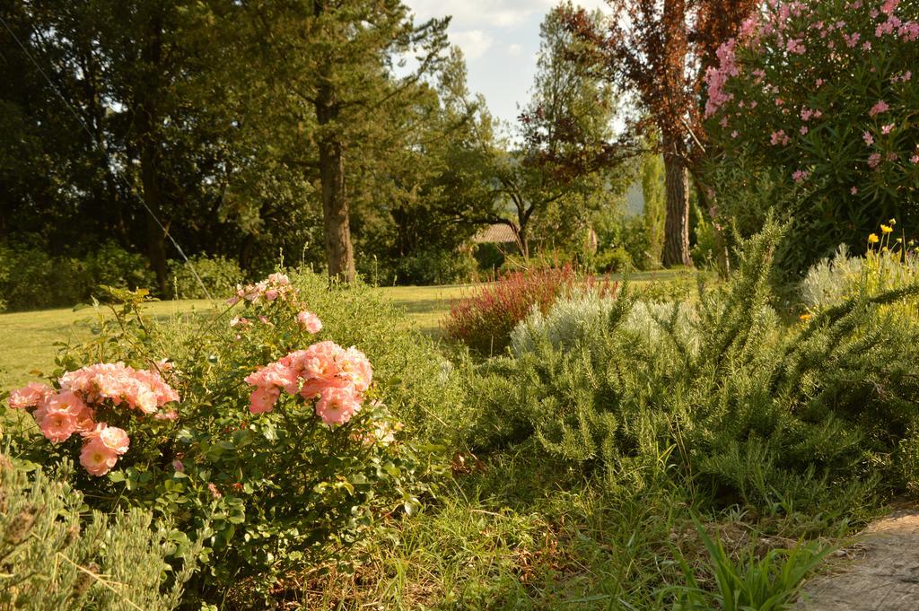 Agriturismo Riparossa Allerona Kültér fotó