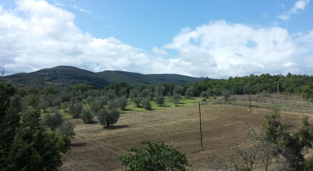 Agriturismo Riparossa Allerona Kültér fotó