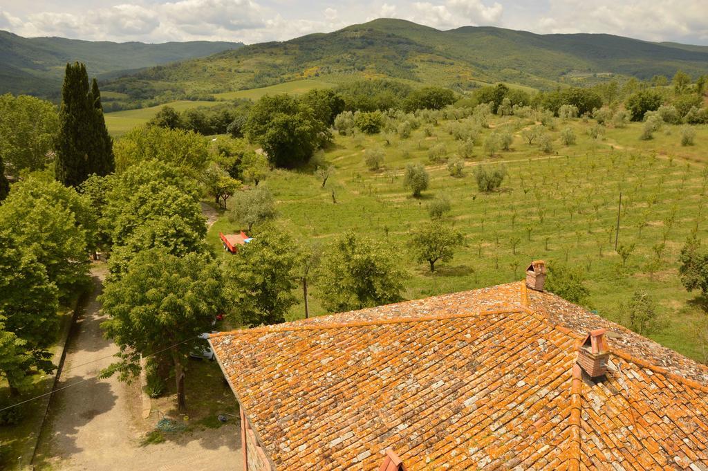 Agriturismo Riparossa Allerona Kültér fotó