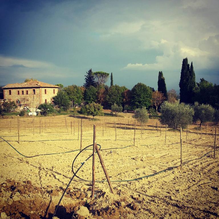 Agriturismo Riparossa Allerona Kültér fotó