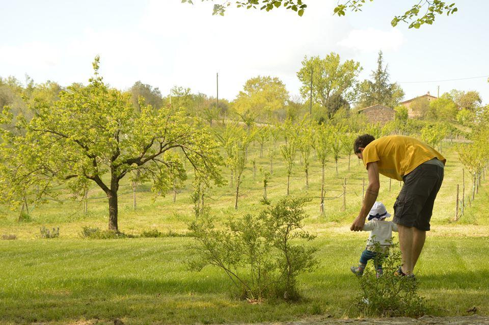 Agriturismo Riparossa Allerona Kültér fotó