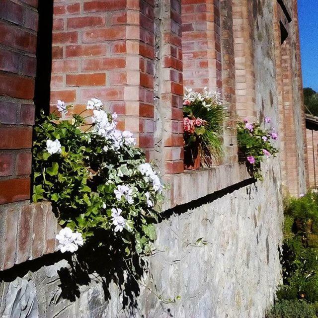 Agriturismo Riparossa Allerona Kültér fotó