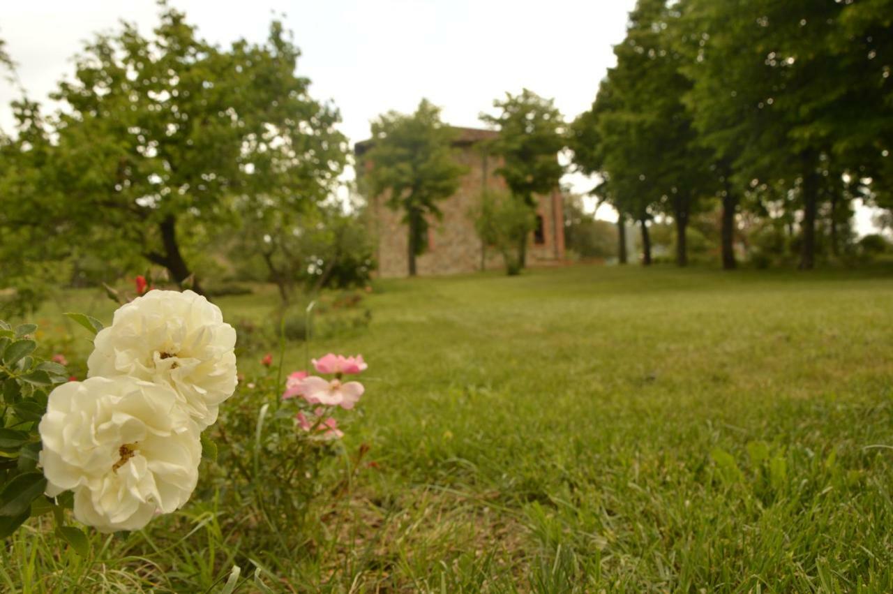 Agriturismo Riparossa Allerona Kültér fotó
