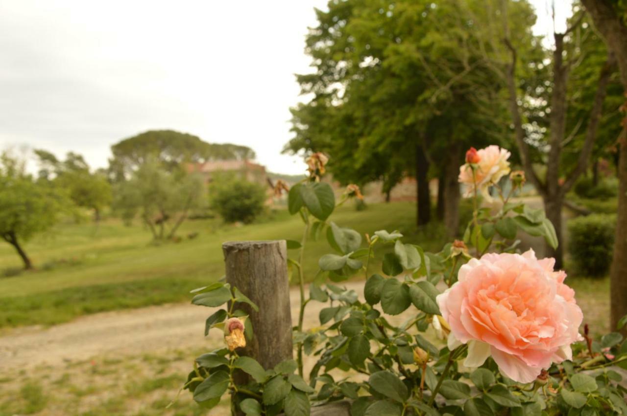 Agriturismo Riparossa Allerona Kültér fotó