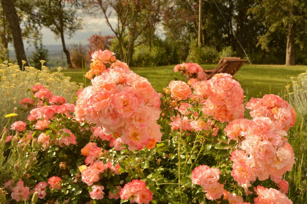 Agriturismo Riparossa Allerona Kültér fotó